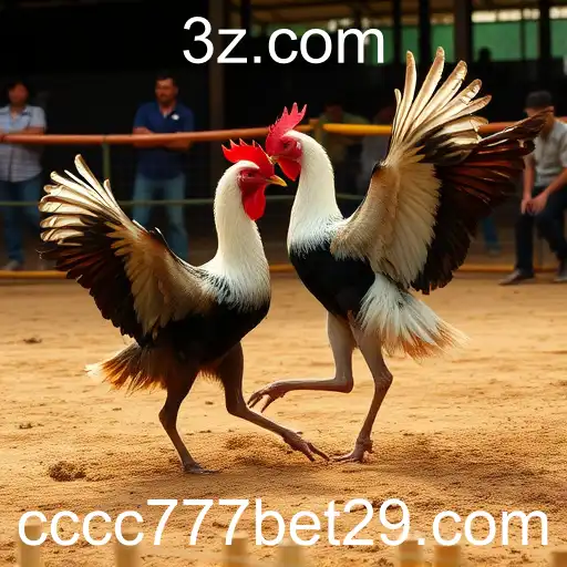 Explorando o Mundo dos Jogos de Sabong com cccc777.bet